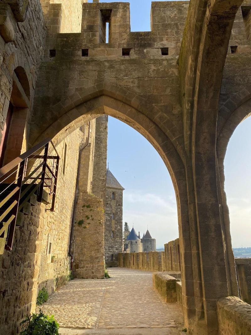 Vue Sur Cite - Spa Carcassonne Buitenkant foto