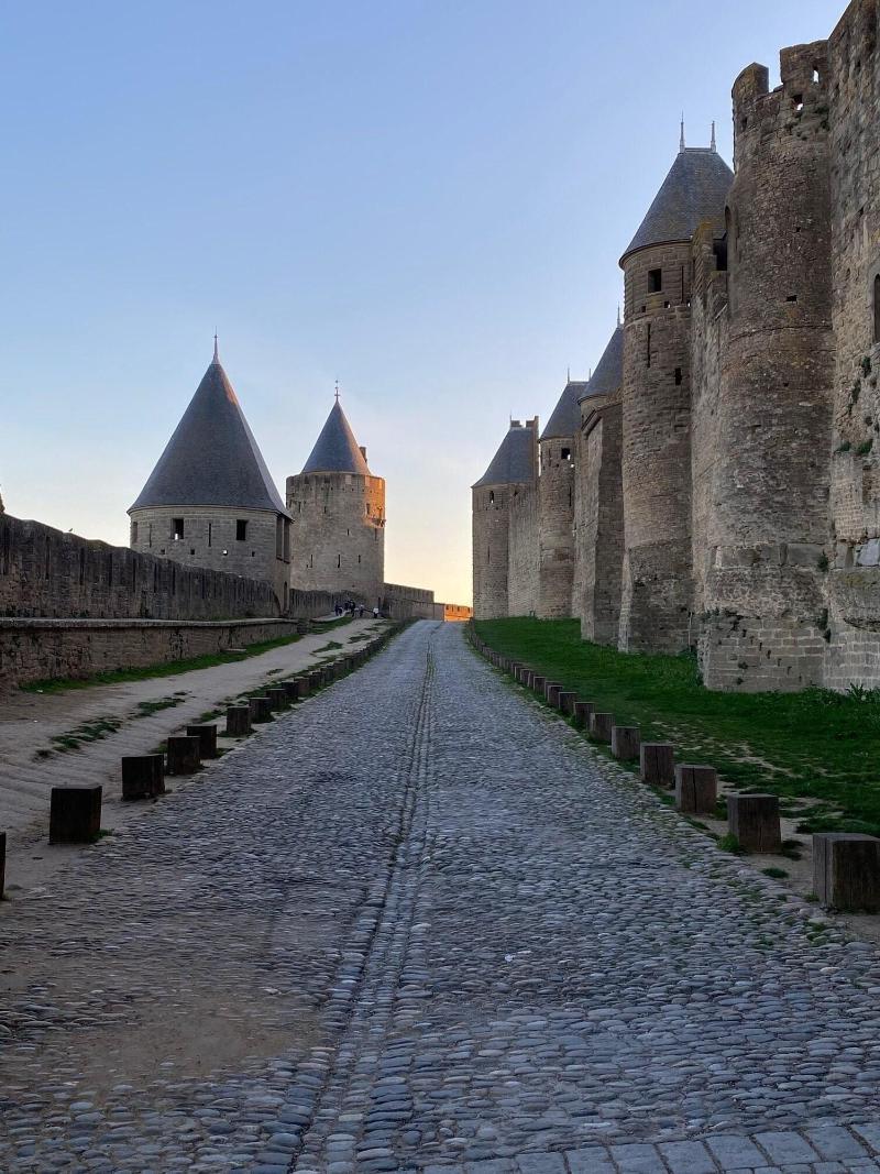 Vue Sur Cite - Spa Carcassonne Buitenkant foto